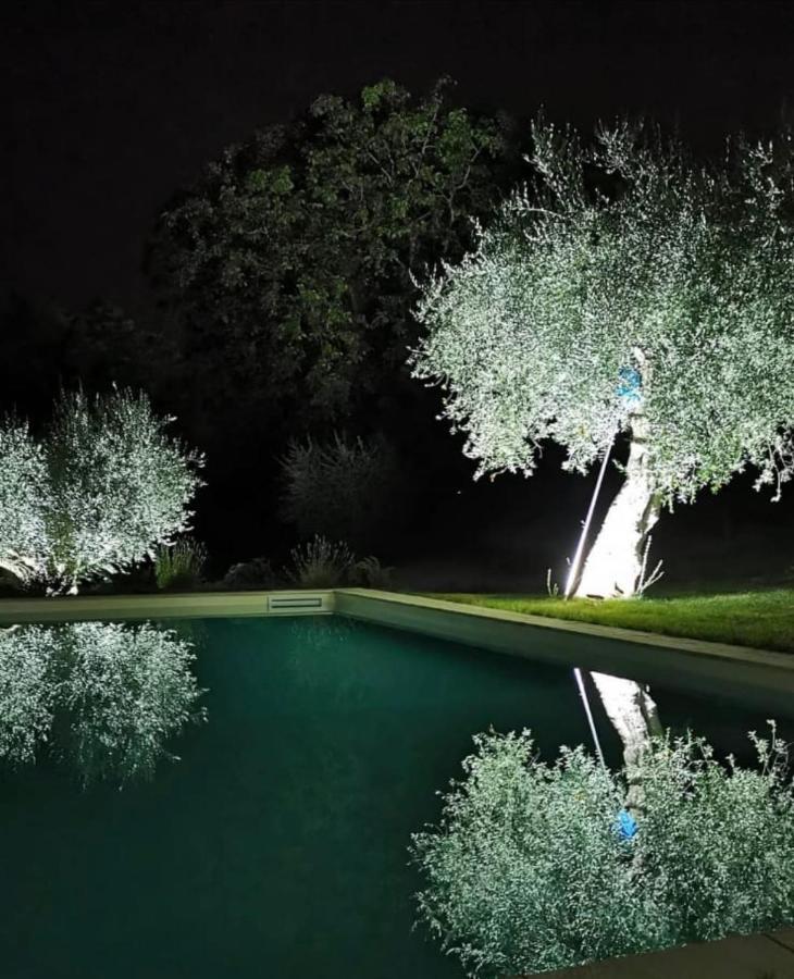 Antica Fonte Holiday Home Tavullia Dış mekan fotoğraf
